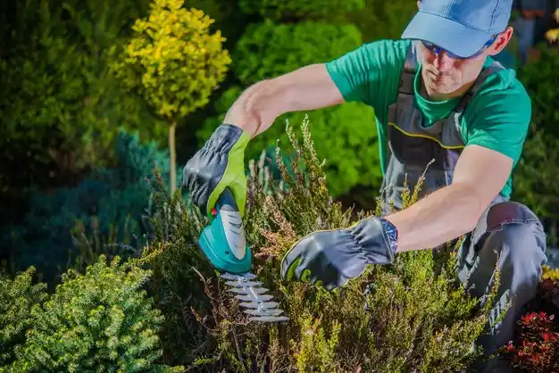 landscaping services Hindman